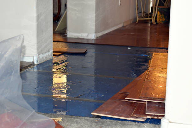 Professional Emergency Water Damage Restoration technician working in New Lebanon, OH